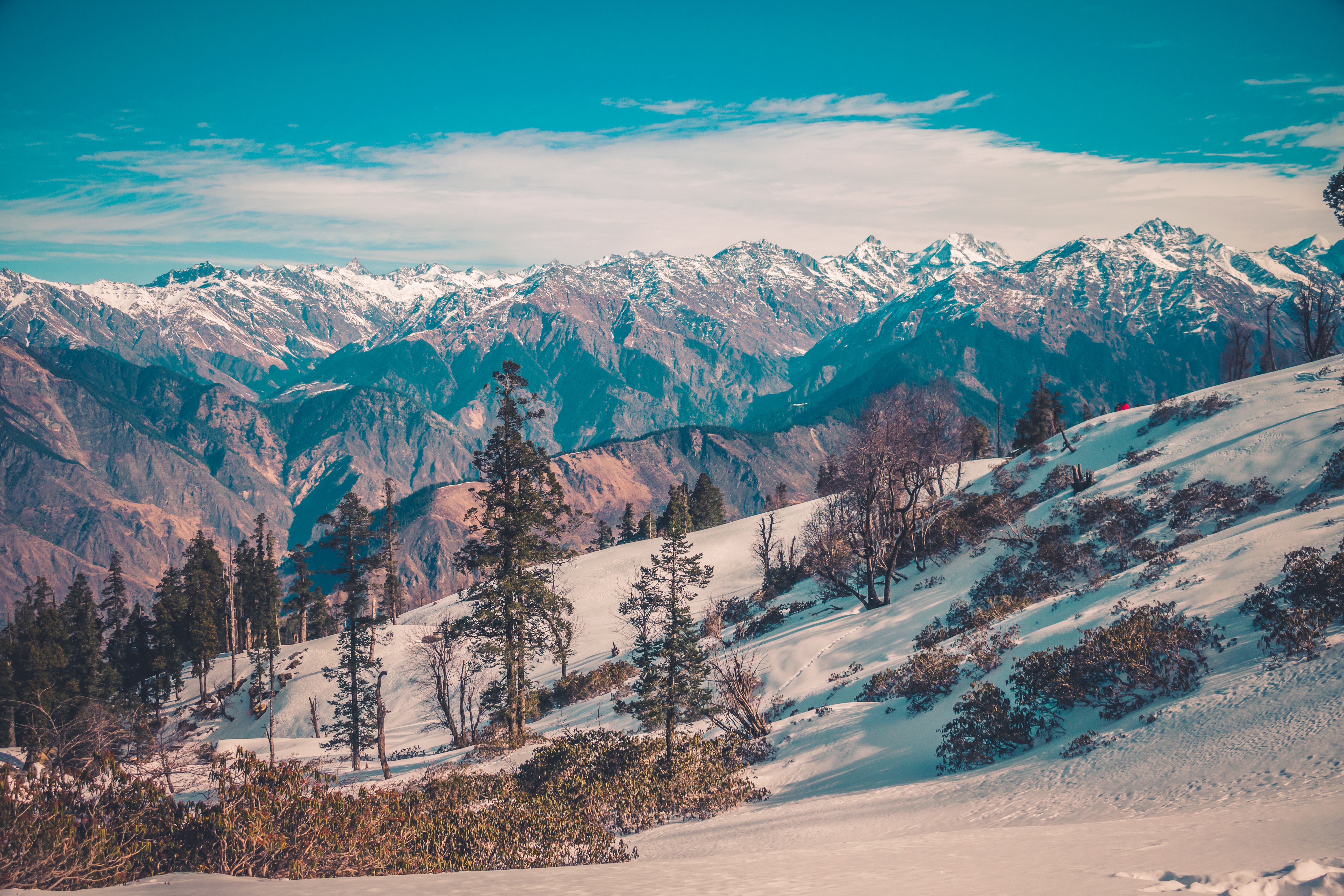 manalikullukasol.main.jpg